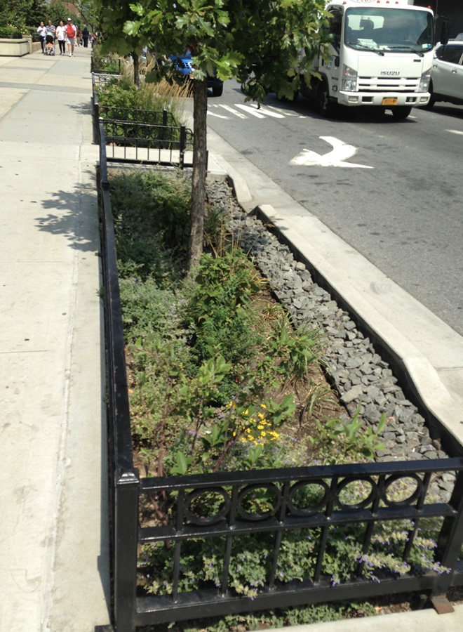 ニューヨーク：側道のレインガーデン 下層に雨水貯留浸透槽が設置されている