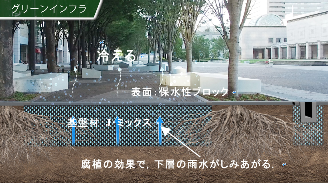 図1　グランモール公園断面模式図
