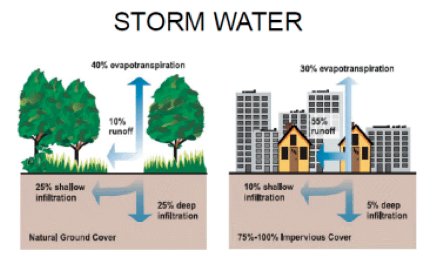 「雨水の浸透と表面流出」屋上世界会議名古屋大会　2015 Steven Peck